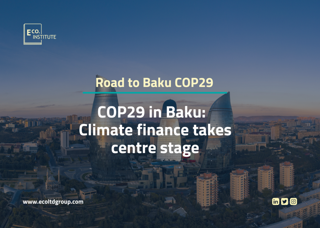 COP29 in Baku: climate finance takes centre stage