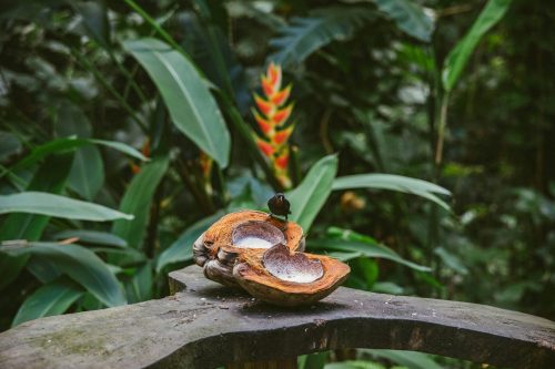 corinne-kutz-3nFAhVGykuA-unsplash