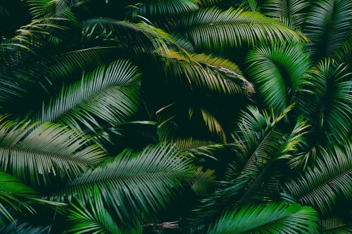 su-san-lee-g3PyXO4A0yc-unsplash